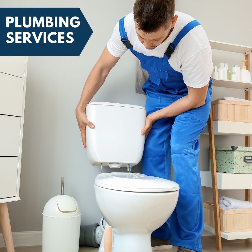 Plumbing Company in Climbing Hill, IA
